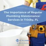A plumber standing in a bathroom, with overlay text 'the importance of regular plumbing maintenance services in Trinity, FL.