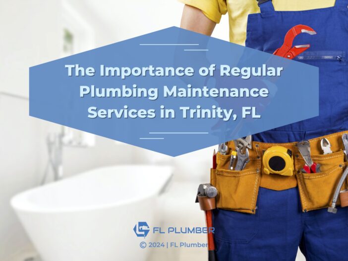 A plumber standing in a bathroom, with overlay text 'the importance of regular plumbing maintenance services in Trinity, FL.