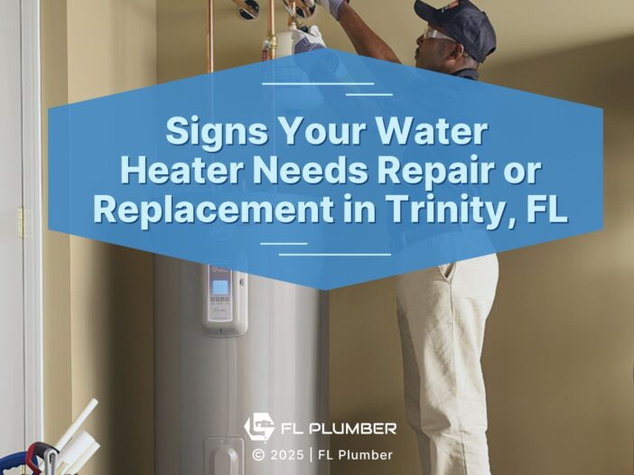 Plumber installing a water heater- Signs Your Water Heater Needs Repair or Replacement in Trinity, FL.